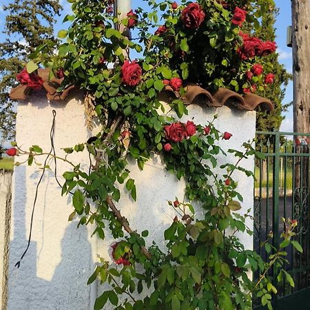 Πετρινη Κατοικια Στην Φυση Vila Tagarades Exterior foto