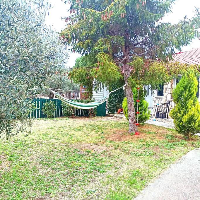 Πετρινη Κατοικια Στην Φυση Vila Tagarades Exterior foto