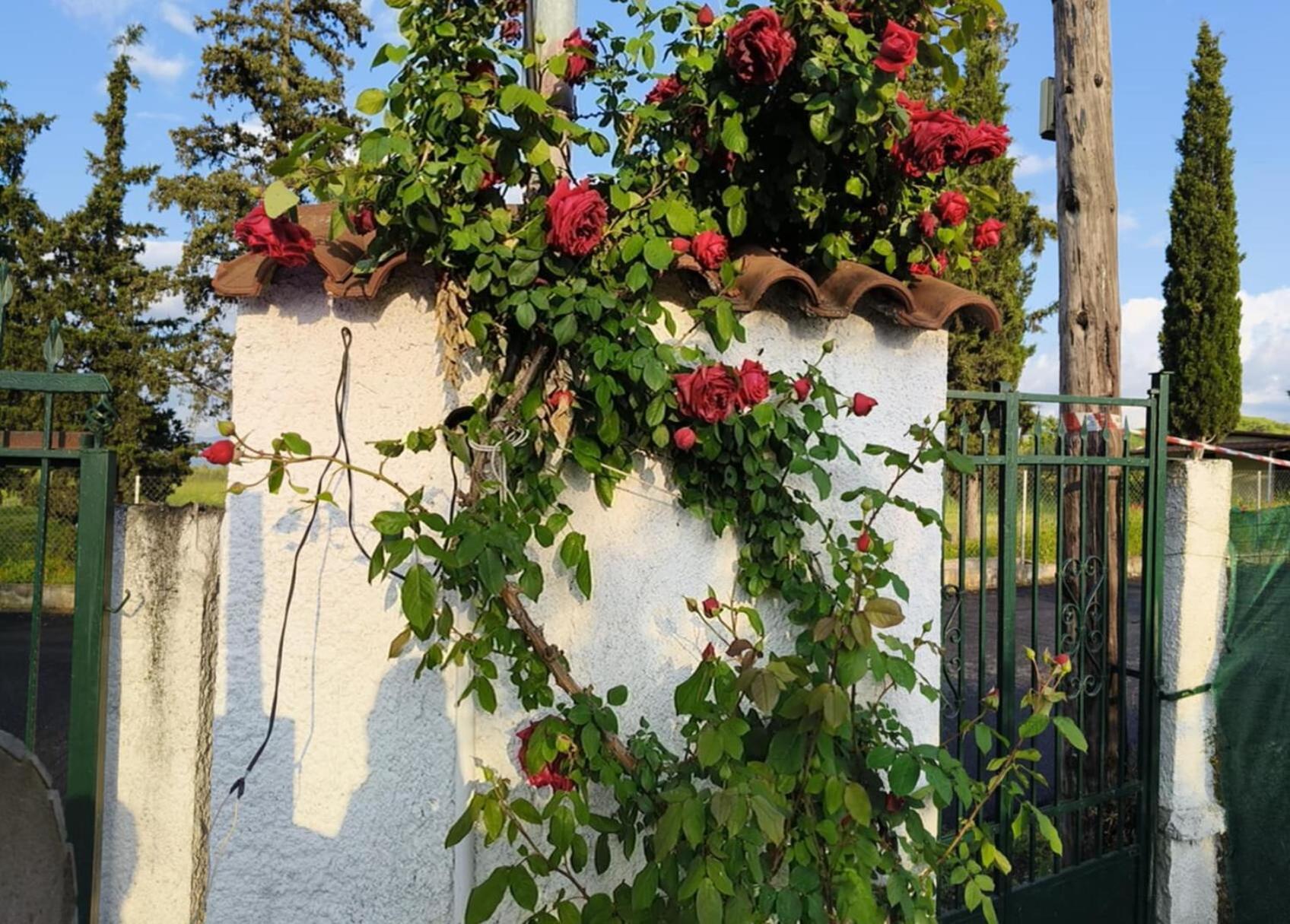 Πετρινη Κατοικια Στην Φυση Vila Tagarades Exterior foto